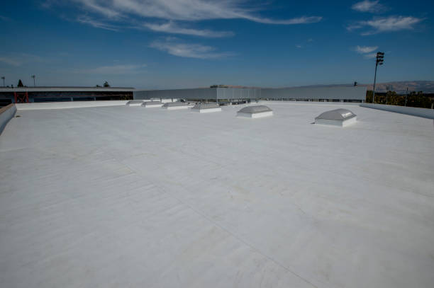 Best Metal Roofing Installation  in Norris City, IL