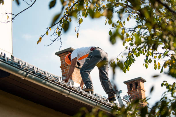 Trusted Norris City, IL Roofing Service Experts