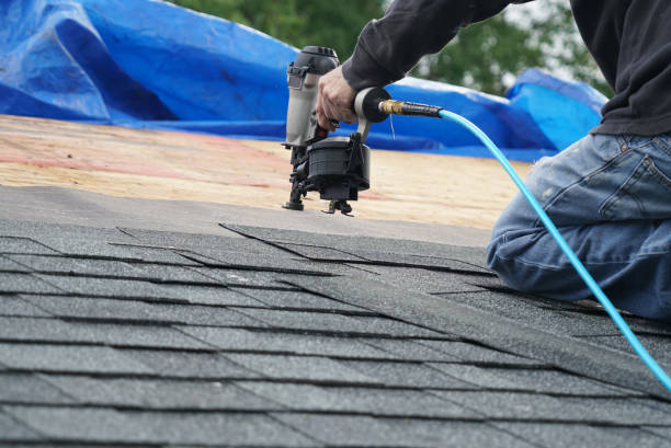 Best Roof Insulation Installation  in Norris City, IL
