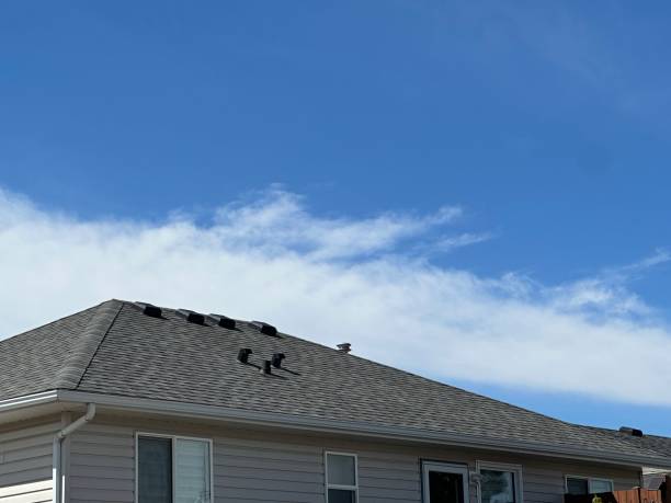 Best Roof Maintenance and Cleaning  in Norris City, IL