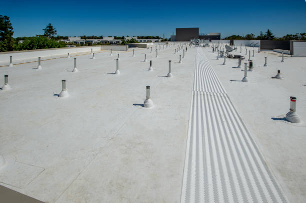 Best Gutter Installation and Repair  in Norris City, IL